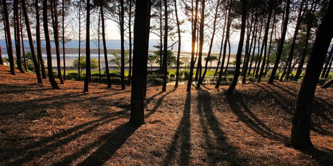 L Europe Arcachon Apartment Екстериор снимка